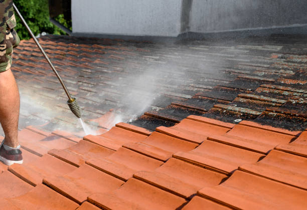Best Exterior Home Cleaning  in Gila Bend, AZ